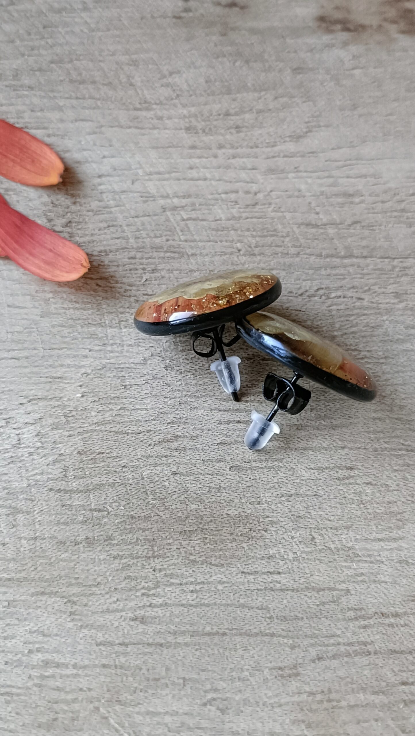 Puces d’oreilles noire Gerbera – Image 2