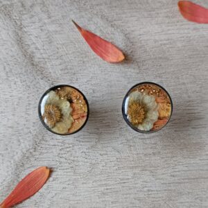 Puces d’oreilles noire Gerbera