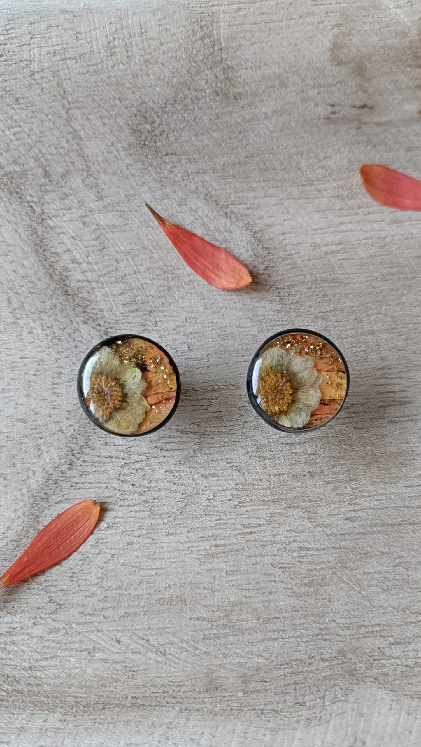 Puces d’oreilles noire Gerbera